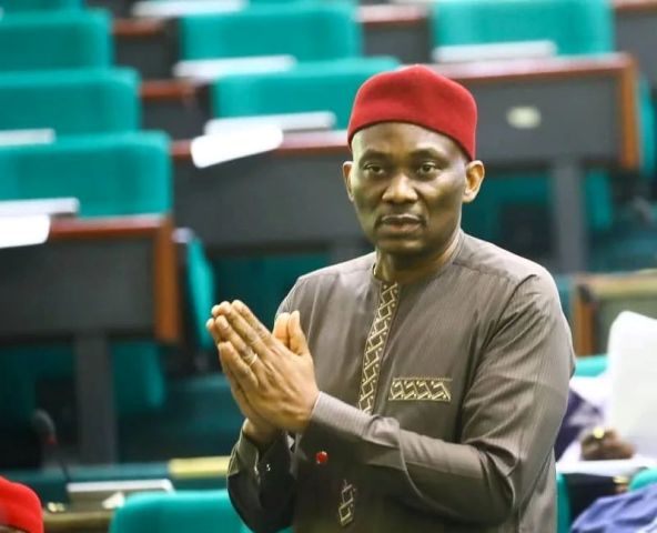 House of Reps Resolves To Investigate Alleged Fraud, Illegalities At FERMA As Elumelu Moves Motion