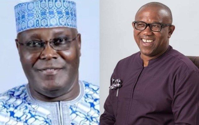 Why PDP Should Go For Atiku/Obi Ticket By Mathias Tsado