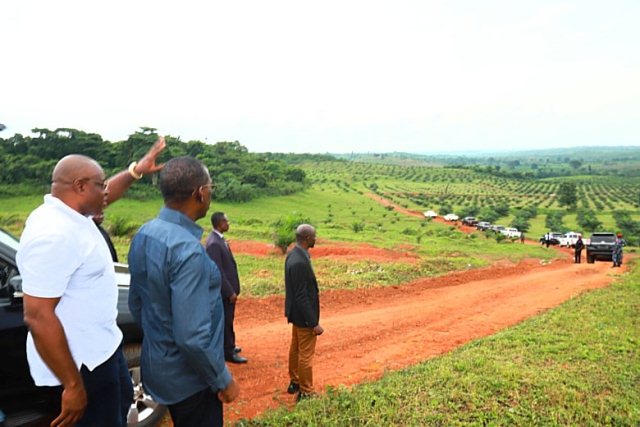 Food Sufficiency: Okowa calls for more investment in agriculture