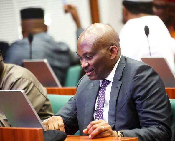 THE VISION OF 2027: A LEGACY OF LEADERSHIP UNDER RT. HON. NDUDI ELUMELU.  By Nwanukposi Elue Dennis
