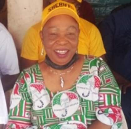 Delta PDP LGA Campaign: Okwuofu Applauds Aniocha North for According Okowa, Wife, Oborevwori, PDP Leaders, Rousing Reception, Urges Them To Arm Themselves With PVCs