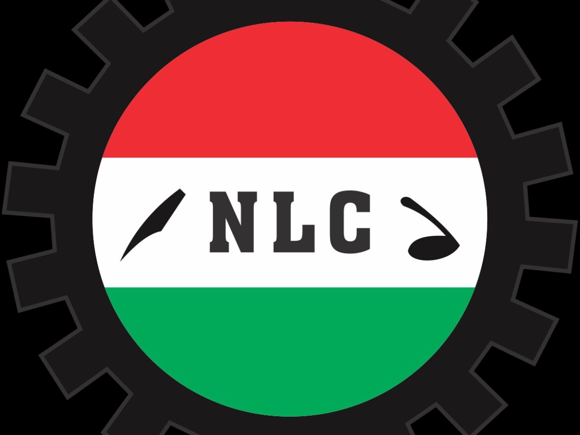 NLC Threatens Total Shutdown If Protesters Are Attacked