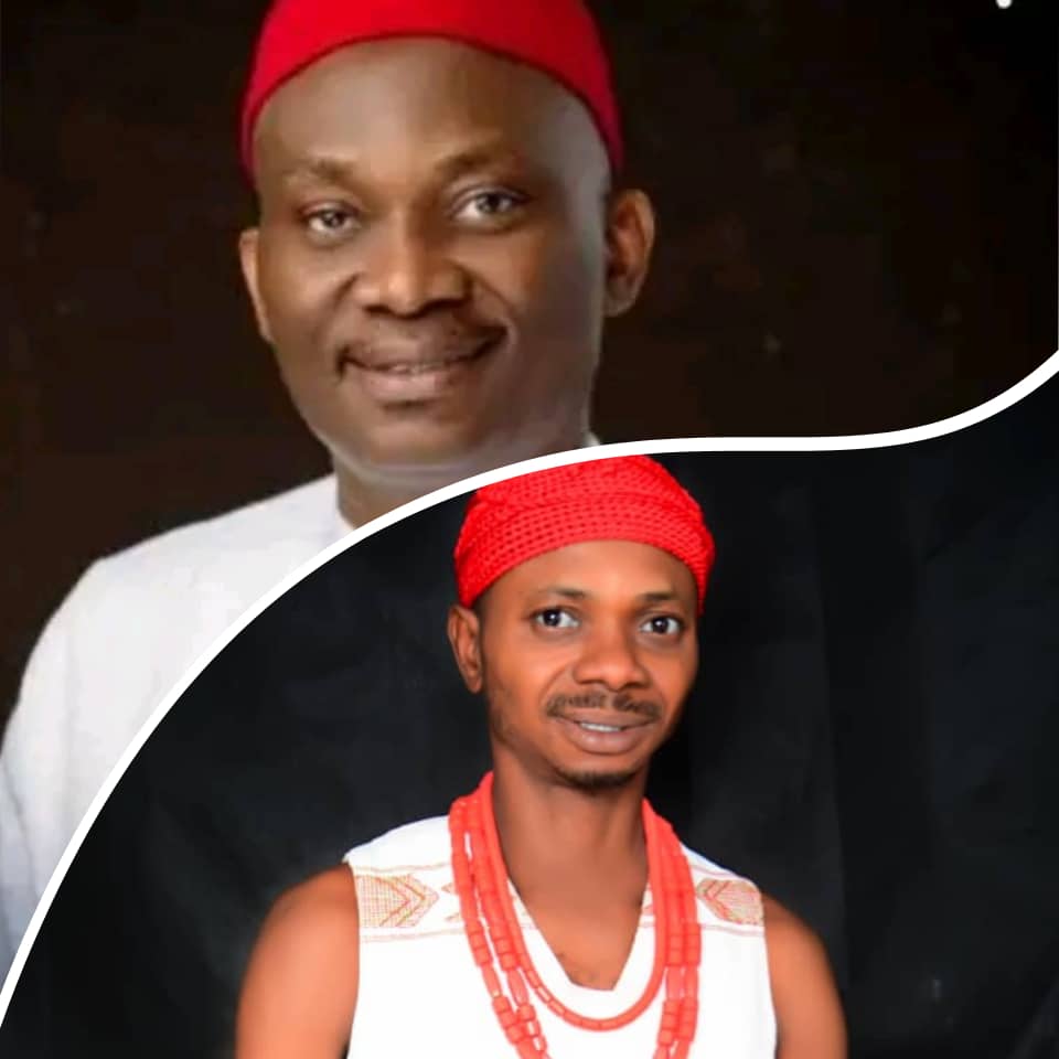 STATESMANSHIP: Rt.Hon. Elumelu Continues To Raise The Bar  By Uzuka Kenneth