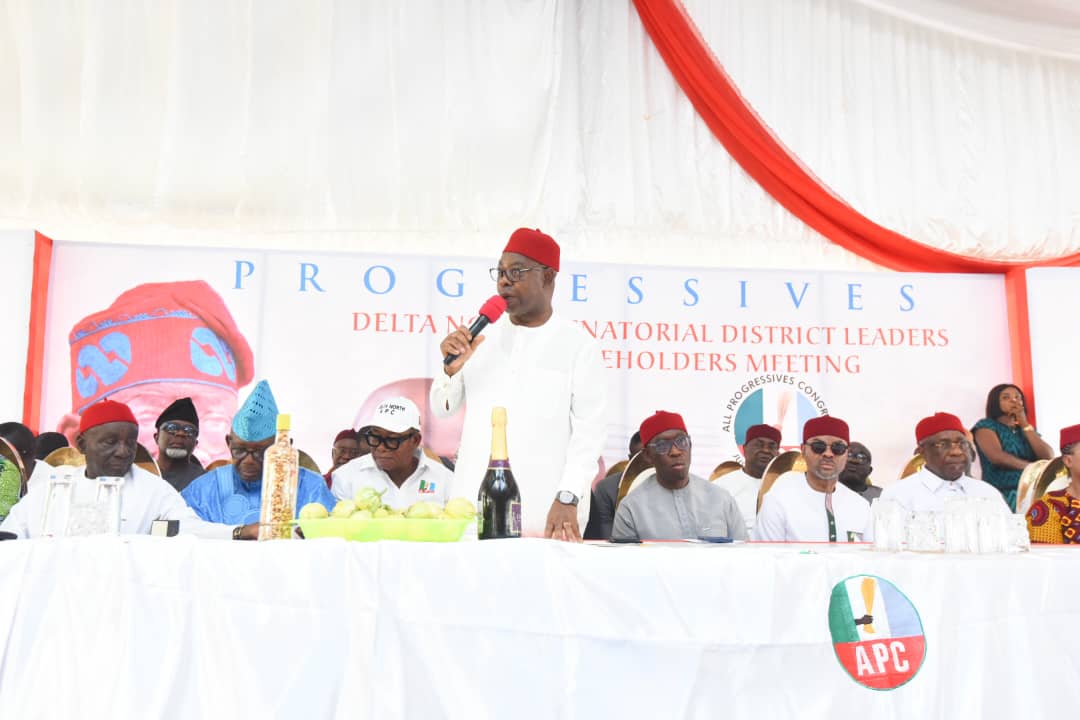 Onyeme Rallies Delta North APC, Urges Unbreakable Unity