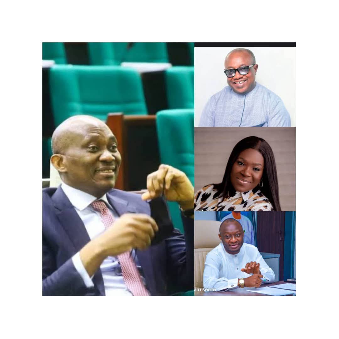 Aniocha/ Oshimili Federal Constituency: Political Pendulum Swings Towards Elumelu  By Biose Osita