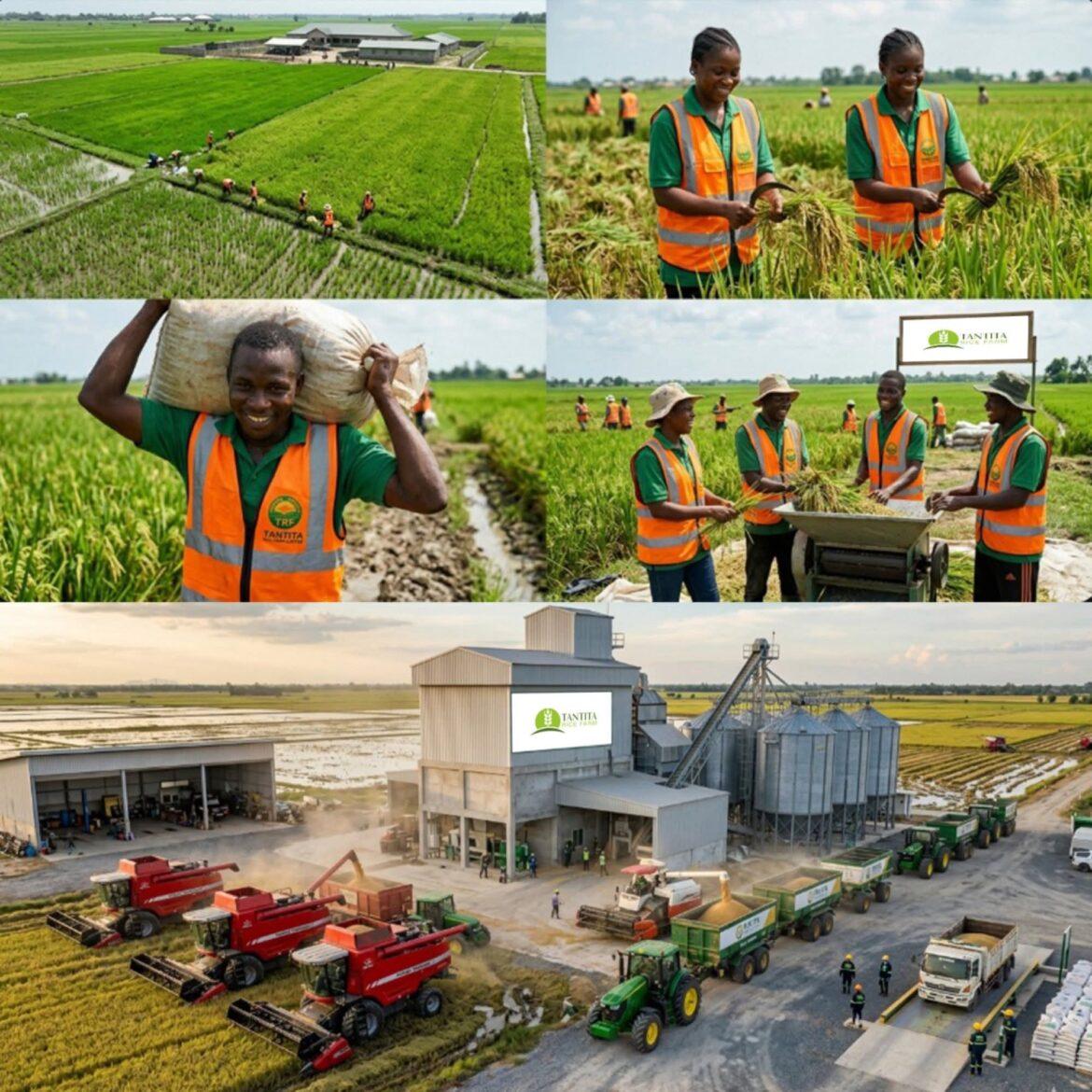 From Oil to Soil: How Tantita Is Powering a New Agro-Driven Future for the Niger Delta