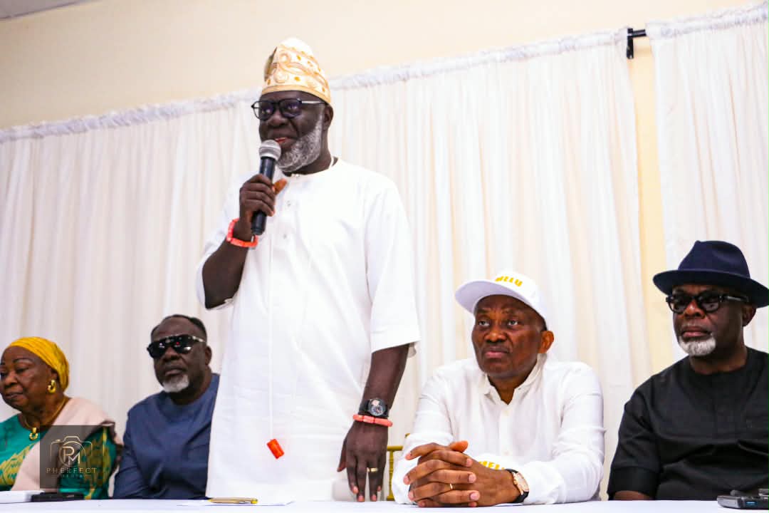 Elumelu Hosts Aniocha/Oshimili APC Stakeholders Meeting as Areyeneka Charges Party Leaders to Close Ranks, Deliver Tinubu, Oborevwori, Elumelu, Others in 2027