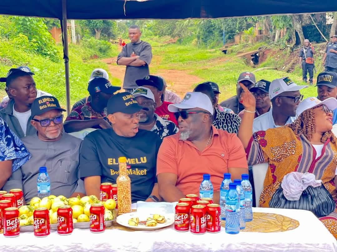 Elumelu Assures Idumuje-Ugboko, Idumuje-Unor of More Infrastructure as Chinye’s Mega Empowerment Reaches Over 400 Residents
